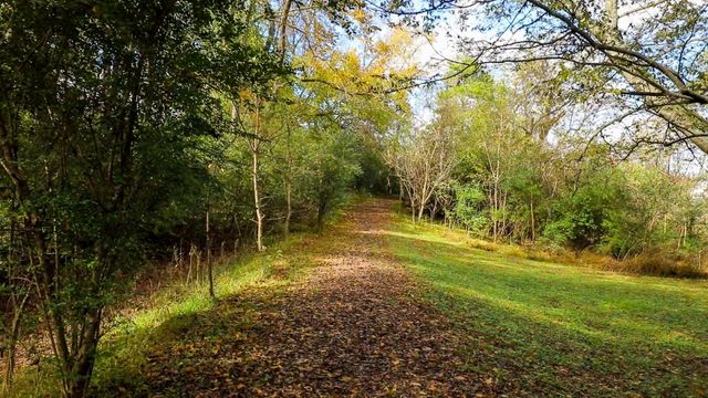 76 Molly Bright Ln, Franklin, TN 37064