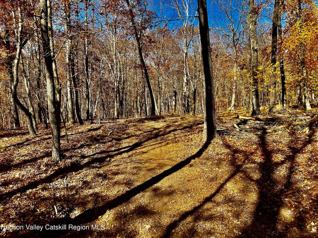 0000 Westfall Road, Ancram, NY 12502