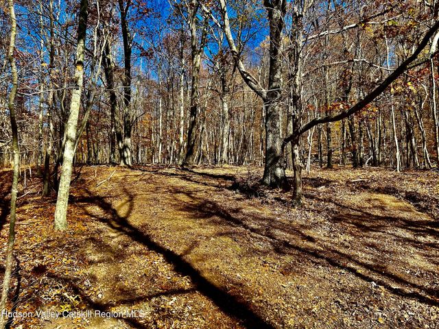 0000 Westfall Road, Ancram, NY 12502