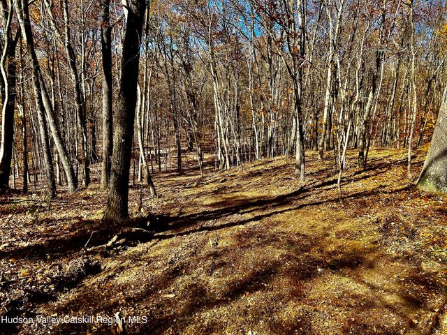 0000 Westfall Road, Ancram, NY 12502