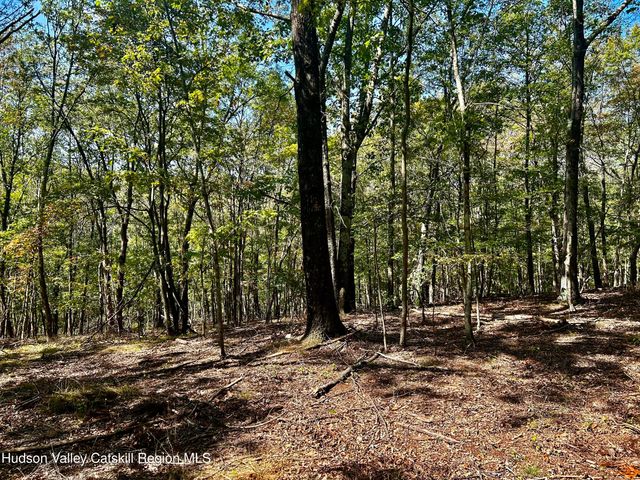 0000 Westfall Road, Ancram, NY 12502