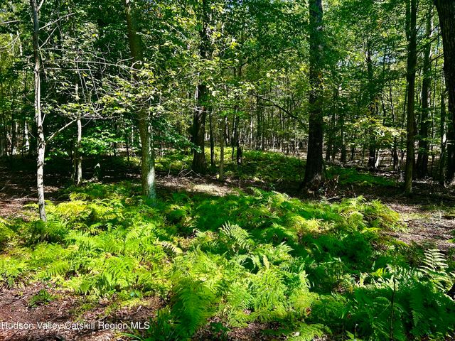 0000 Westfall Road, Ancram, NY 12502