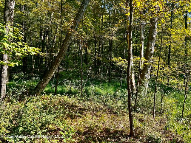 0000 Westfall Road, Ancram, NY 12502