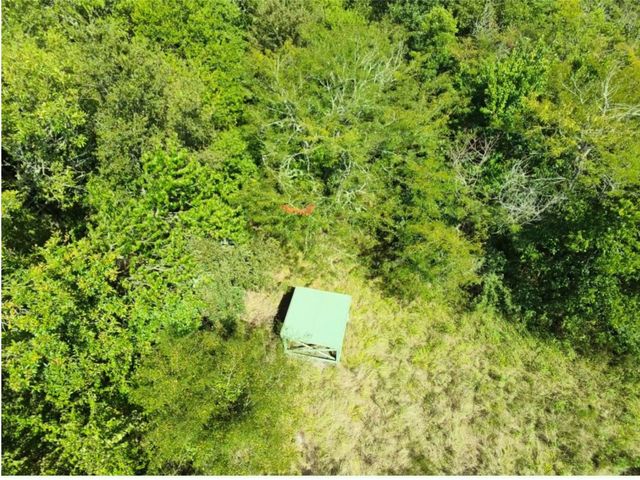 6343 County Road 4727, Wolfe City, TX 75496