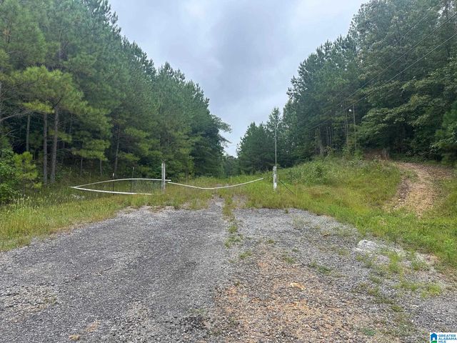 715 FALLVIEW LANE, Odenville, AL 35120