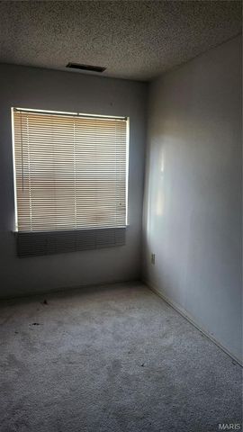 12807 Sunrise East Court, Florissant, MO 63033