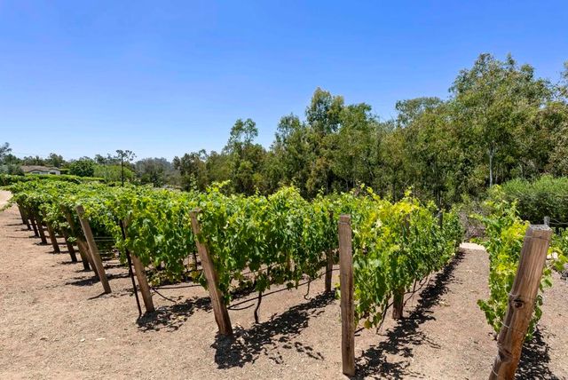 5293 La Glorieta, Rancho Santa Fe, CA 92067
