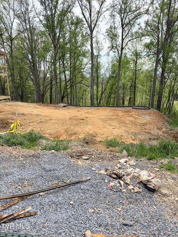 414 English Ivy Trail, Jonesborough, TN 37659
