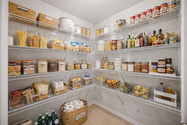 32756 ANSLEY BLOOM LANE, Wesley Chapel, FL 33543