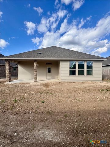 10219 Kimberlite Drive, Temple, TX 76502