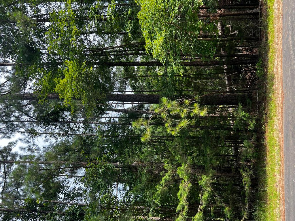 L5 B17 Creekside Cove, Mccormick, SC 29835