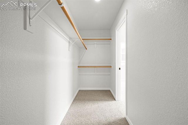 751 Little Bear Grove, Colorado Springs, CO 80907