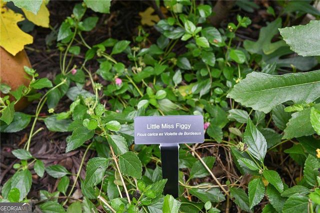 2067 Fairhaven Circle NE, Atlanta, GA 30305