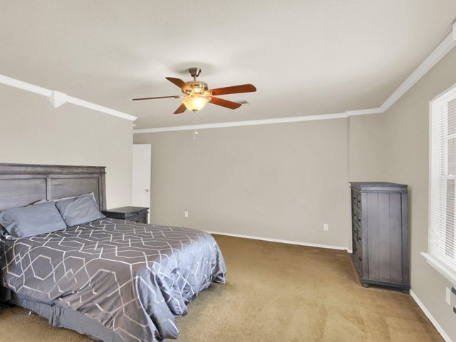 12716 Paloma Blanca WAY, Del Valle, TX 78617