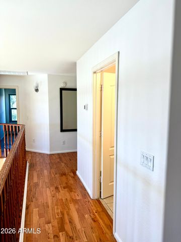 783 E lynx Place, Chandler, AZ 85249