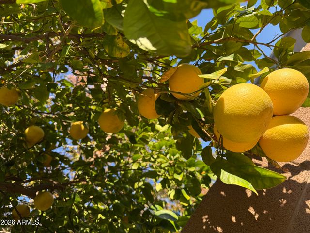 783 E lynx Place, Chandler, AZ 85249