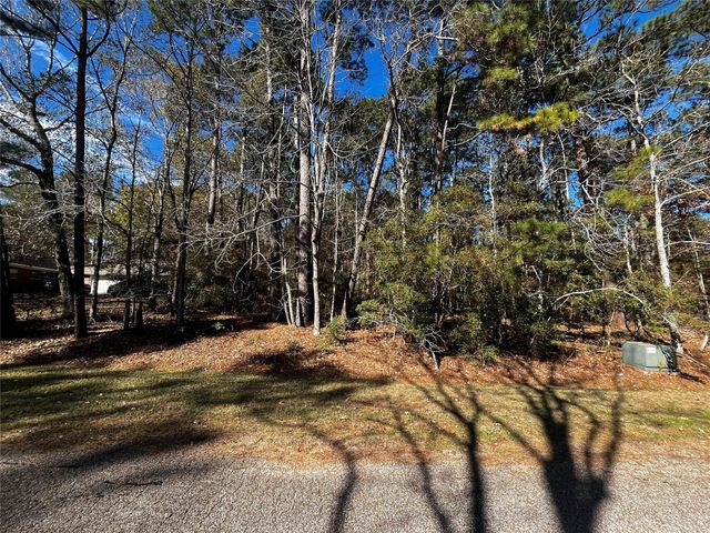 10 Wentworth Lane, Coldspring, TX 77331