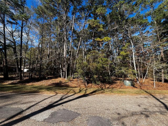 10 Wentworth Lane, Coldspring, TX 77331