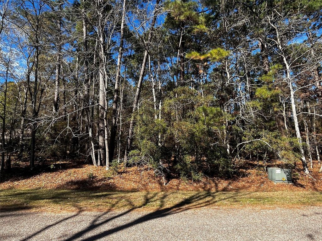 10 Wentworth Lane, Coldspring, TX 77331