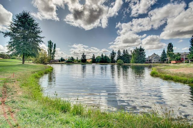 831 Pioneer Mine Ct, Angels Camp, CA 95222