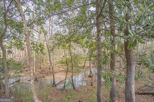 179 Hawk Hammock Drive, Springfield, GA 31329