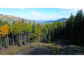 429 Sawmill Ln, Idaho Springs, CO 80452