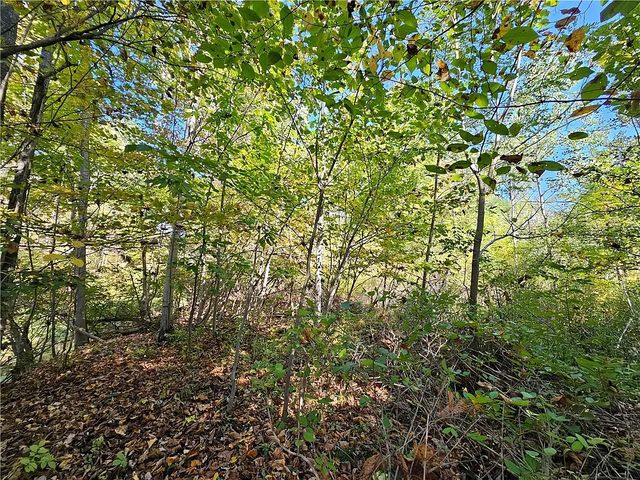 10849 New Oregon Road, North Collins, NY 14111