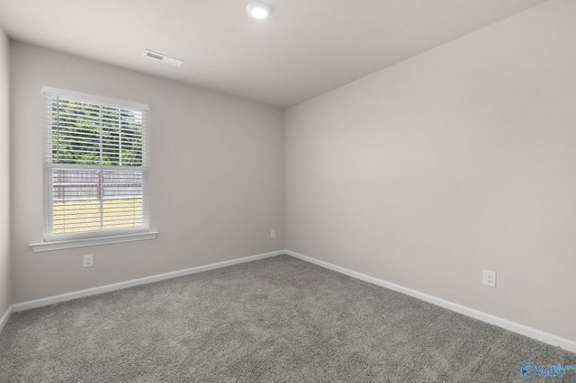 132 Broughton Street, Madison, AL 35756