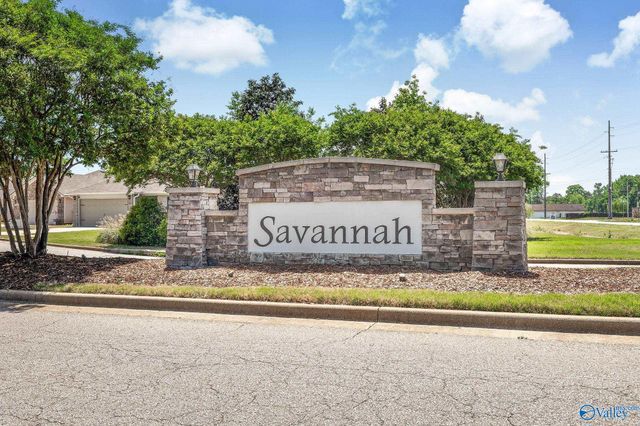 132 Broughton Street, Madison, AL 35756