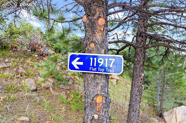 11917 Flat Top Trail, Littleton, CO 80127