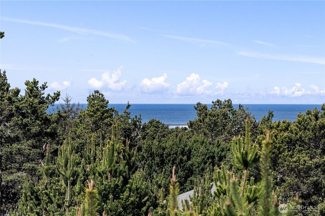 29375 L Lane, Ocean Park, WA 98640