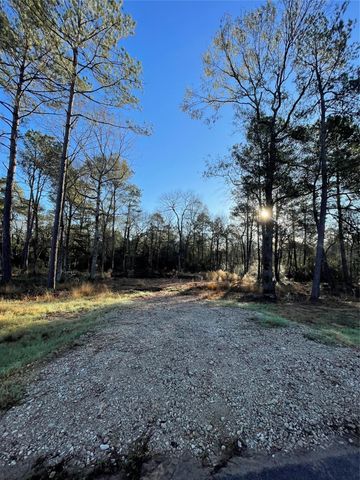 9682 Creek Vista Lane, Willis, TX 77378