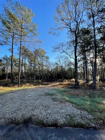 9682 Creek Vista Lane, Willis, TX 77378