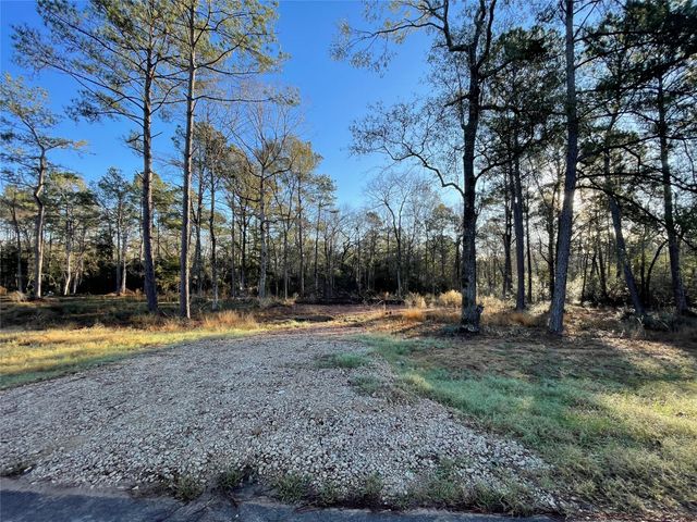 9682 Creek Vista Lane, Willis, TX 77378