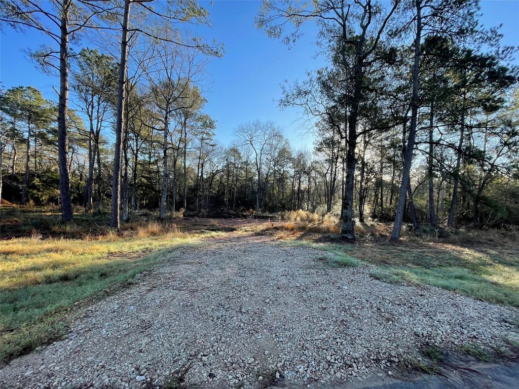 9682 Creek Vista Lane, Willis, TX 77378