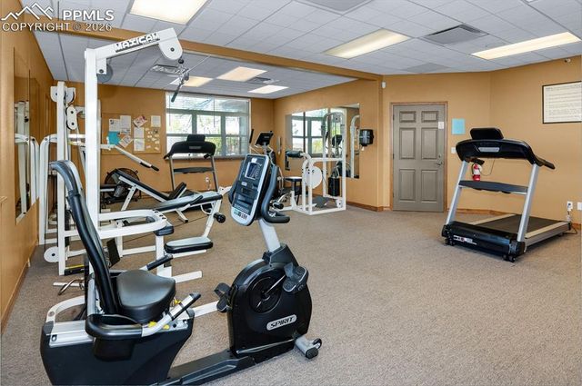 7653 Crested Jay Point, Colorado Springs, CO 80922