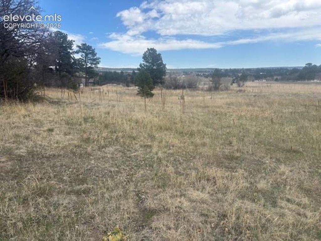 3645 Summertime Court, Monument, CO 80132 — photo 5