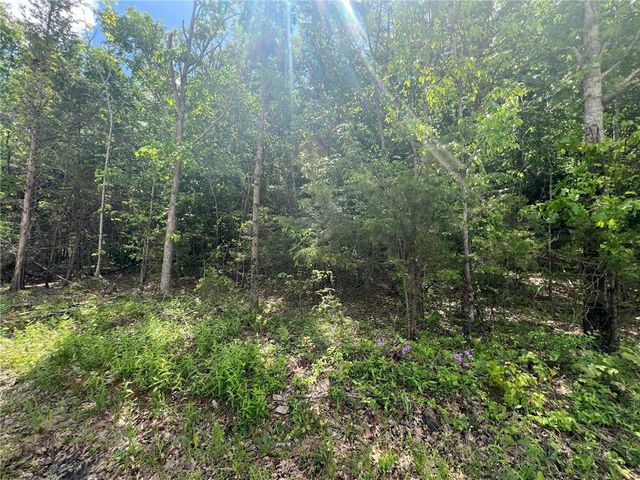 TBD NC 6277, Jasper, AR 72641