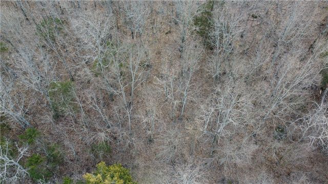 TBD NC 6277, Jasper, AR 72641