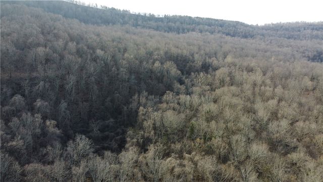 TBD NC 6277, Jasper, AR 72641