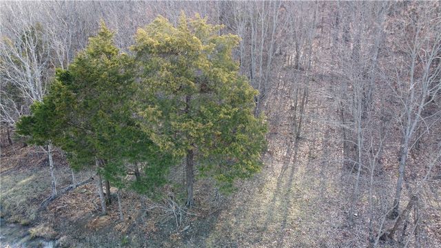 TBD NC 6277, Jasper, AR 72641