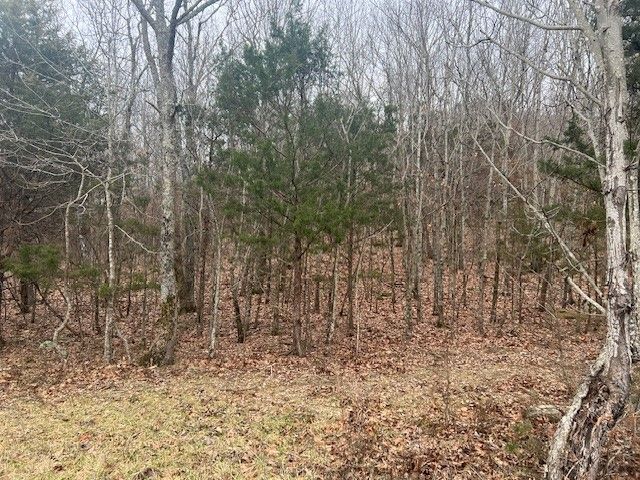 TBD NC 6277, Jasper, AR 72641