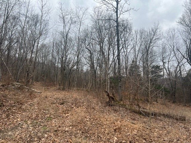 TBD NC 6277, Jasper, AR 72641