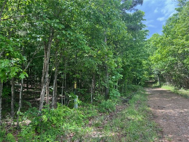 TBD NC 6277, Jasper, AR 72641