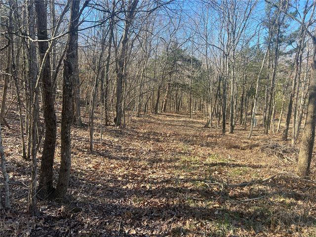 TBD NC 6277, Jasper, AR 72641