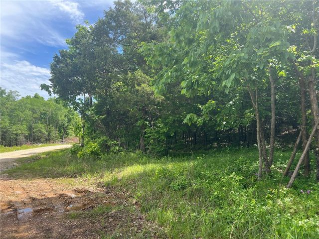 TBD NC 6277, Jasper, AR 72641
