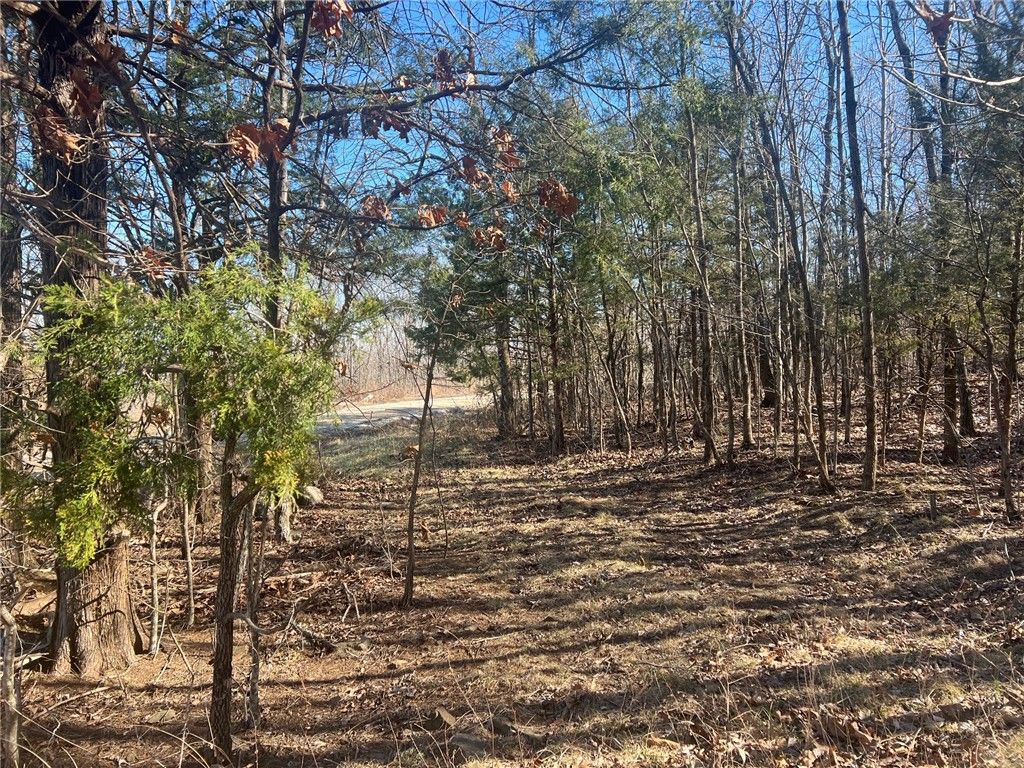 TBD NC 6277, Jasper, AR 72641