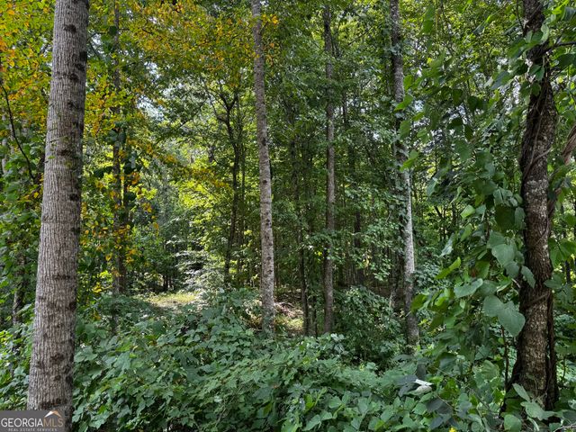 J58 Bent Grass Way, Clayton, GA 30525