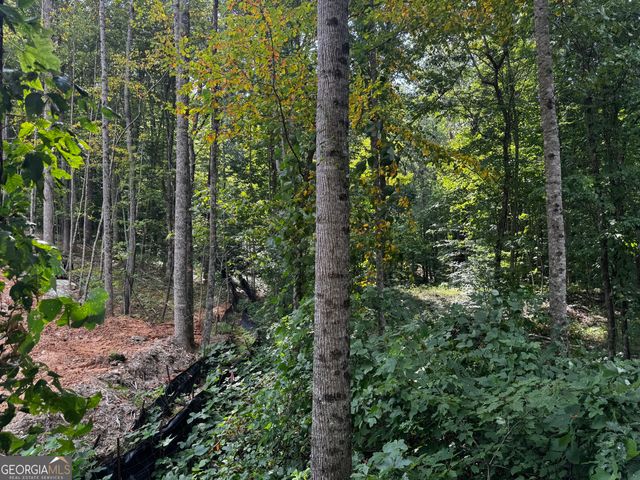 J58 Bent Grass Way, Clayton, GA 30525