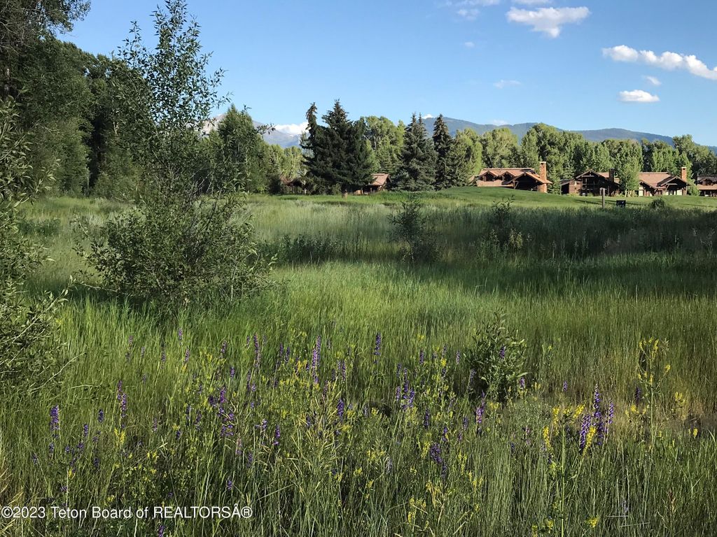 775 WILD RYE, Jackson, WY 83001 photo 11